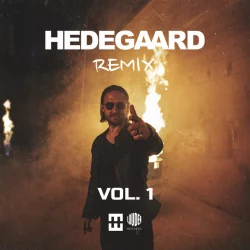 HEDEGAARD - P.I.M.P. (Hedegaard Remix)