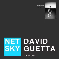 Netsky & David Guetta - Ice Cold