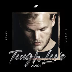 Avicii feat. Agnes, Vargas & Lagola - Tough Love (Tiesto Remix) (Radio Edit)