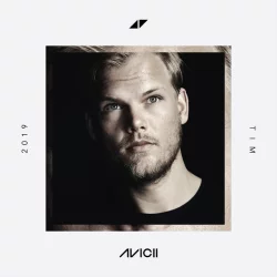 Avicii feat. Bonn - Ain't A Thing