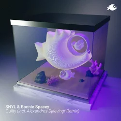 Snyl & Bonnie Spacey - Guilty (Alexandros Djkevingr Remix)