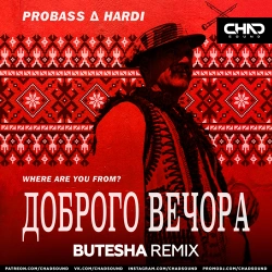 PROBASS ∆ HARDI - Доброго Вечора (Where Are You From) (Butesha Remix)