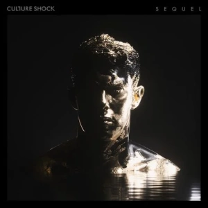 Culture Shock feat. Sub Focus - Recombine