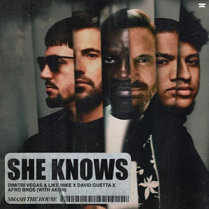 Dimitri Vegas & Like Mike feat. David Guetta & Afro Bros & Akon - She Knows