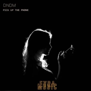 Dndm - Pick Up The Phone