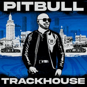 Pitbull & Vikina - It Takes 3