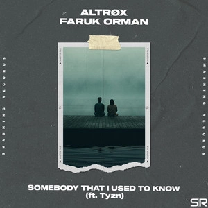 Altrøx & Faruk Orman feat. Tyzn - Somebody That I Used To Know