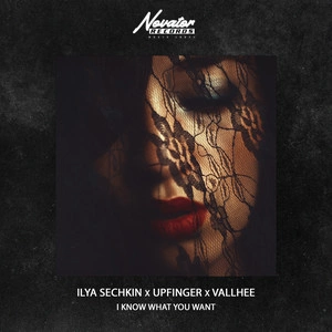 ILYA SECHKIN & UPFINGER & VALLHEE - I Know What You Want