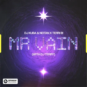 DJ Kuba & Neitan & Terri B! & DJ Terry - Mr. Vain