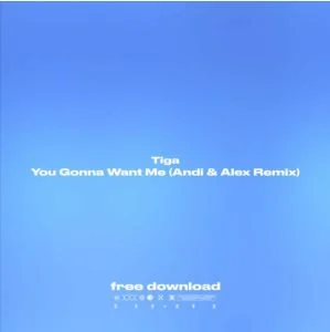 Tiga - You Gonna Want Me (Andi & Alex Remix)