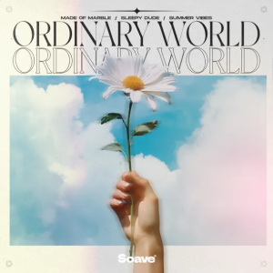 Made Of Marble & Sleepy Dude & Summer Vibes - Ordinary World