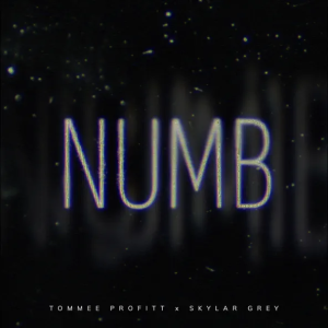 Tommee Profitt & Skylar Grey - Numb