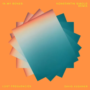 Lost Frequencies & David Kushner - In My Bones (Konstantin Sibold Remix)