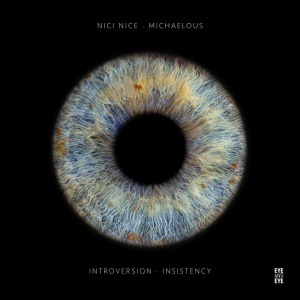 NICI NICE - Introversion (Original Mix)