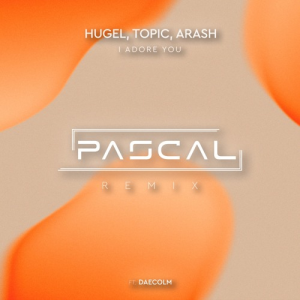 HUGEL & Topic & Arash feat. Daecolm - I Adore You (PASCAL Remix)