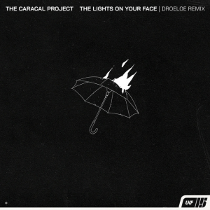 The Caracal Project - The lights on your face (DROELOE Remix)