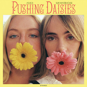 Ashe & Suki Waterhouse - Pushing Daisies