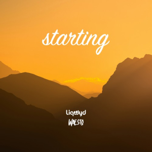 LiQWYD & Waesto - Starting