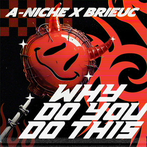 A-NICHE & Brieuc - Why Do You Do This