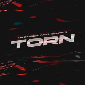 DJ DimixeR & FAVIA & Dmitrii G - Torn