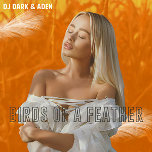 DJ Dark & ADEN - BIRDS OF A FEATHER