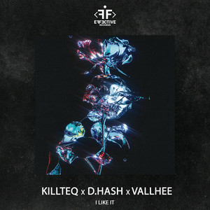 Killteq & D.Hash feat. Vallhee - I Like It