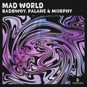 Badbwoy & Palane & Murphy - Mad World (Extended Mix)