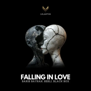 Black Box & Baris Bayrak & Sesli - Falling In Love (Original Mix)