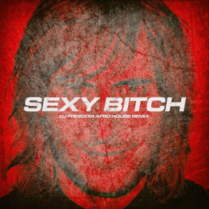 David Guetta & Akon - Sexy Bitch (DJ Freedom Afro House Remix)