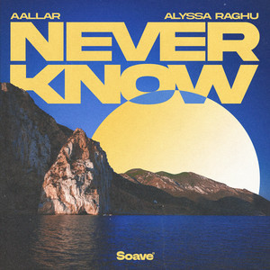 AALLAR - Never Know (feat. Alyssa Raghu)