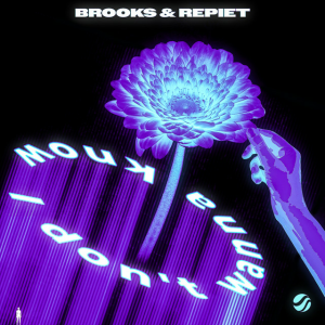 Brooks & Repiet - I Don't Wanna Know