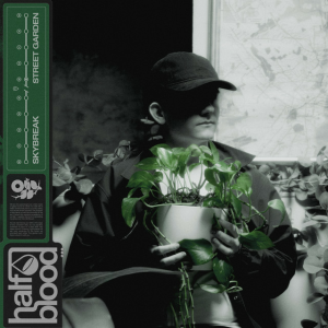 Skybreak - STREET GARDEN