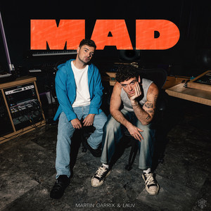 Martin Garrix & Lauv - MAD (Dj Vianu Remix)