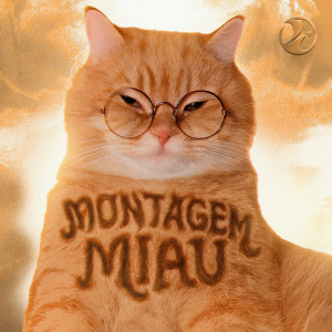 Lenar & Leonardo P - Montagem Miau - Slowed
