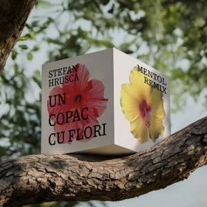 Stefan Hrusca - Un copac cu flori (Mentol Remix)