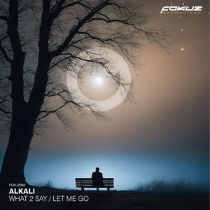Alkali. - What 2 Say