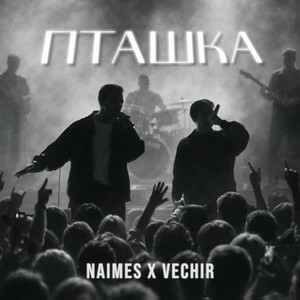 NAIMES & VECHIR - пташка (KARMV REMIX)