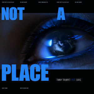 Timmy Trumpet & Oaks - Not A Place