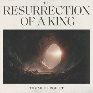 Tommee Profitt & Fleurie - I’ll Fly Away