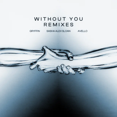 Gryffin & AVELLO & Sasha Alex Sloan - Without You (St. Mary Remix)