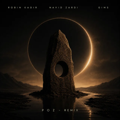 Robin Kadir & GIMS & Navid Zardi - Poz (Remix)