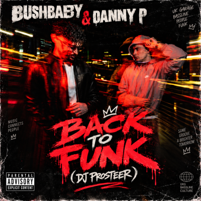 Bushbaby & Danny P  - Back To Funk (DJ Prosteer)