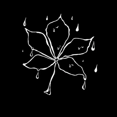 ENLEO - під київським дощем