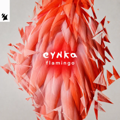 Eynka - Flamingo