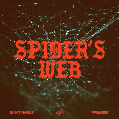 Sam Tinnesz - Spider's Web