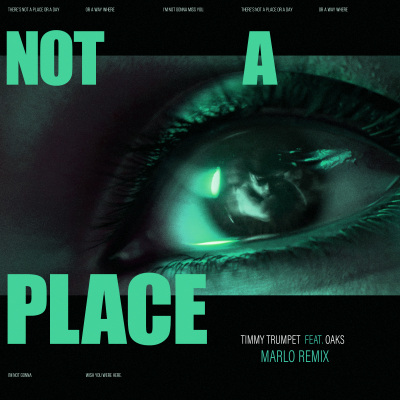 Timmy Trumpet - Not A Place (feat. Oaks) [MaRLo Remix]