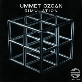Ummet Ozcan - Simulation