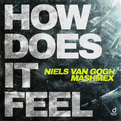 Niels Van Gogh & Mashmex - How Does It Feel
