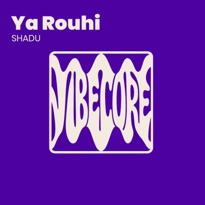 SHADU - Get Down